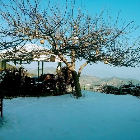 The Swiss Village Resort Нейнитал Екстериор снимка