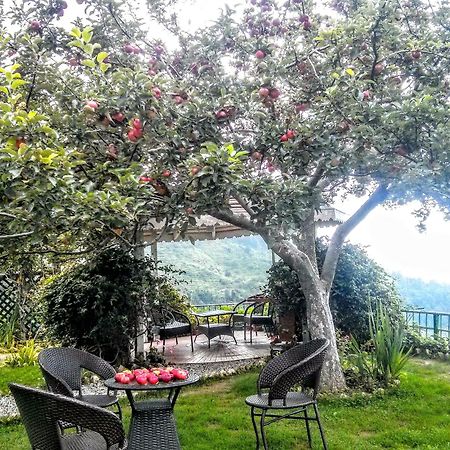 The Swiss Village Resort Нейнитал Екстериор снимка