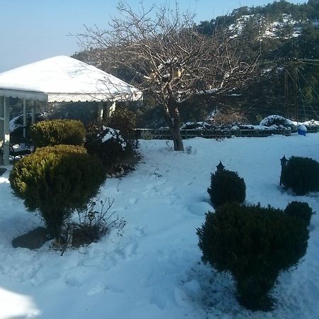 The Swiss Village Resort Нейнитал Екстериор снимка